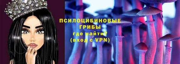 молекула духа Алексеевка