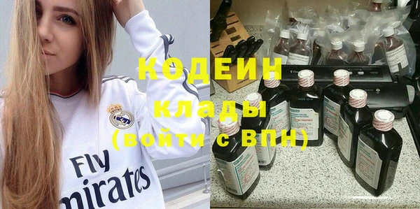 прущий лед Алзамай