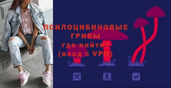 прущий лед Алзамай