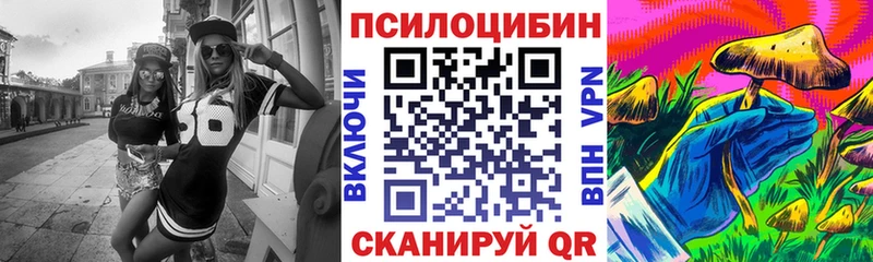 гидра зеркало  купить наркоту  Усть-Илимск  Галлюциногенные грибы MAGIC MUSHROOMS 