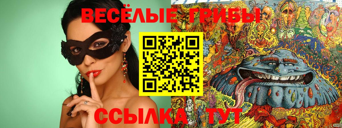 продажа наркотиков  Псилоцибиновые грибы Psilocybine cubensis  Усть-Илимск  Вход с VPN  Псилоцибиновые грибы прущие грибы 